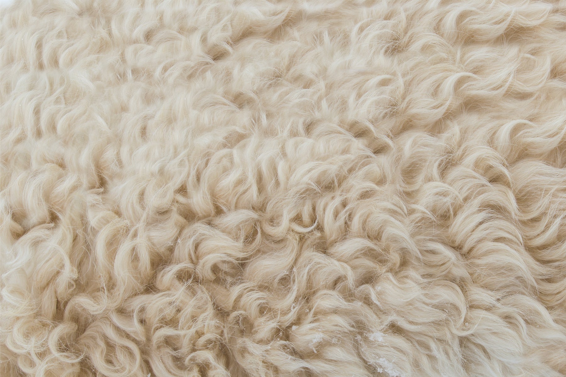 Material Study: Merino Wool – Torsa
