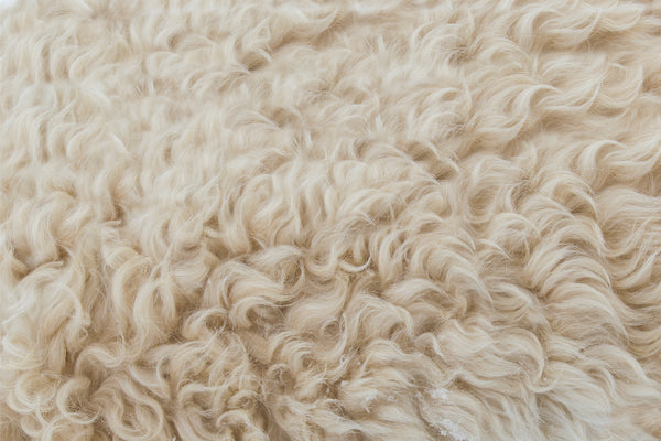 Material Study: Merino Wool